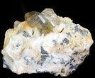 Cerussite Crystals with Bladed Barite on Galena- Morocco #44775-1